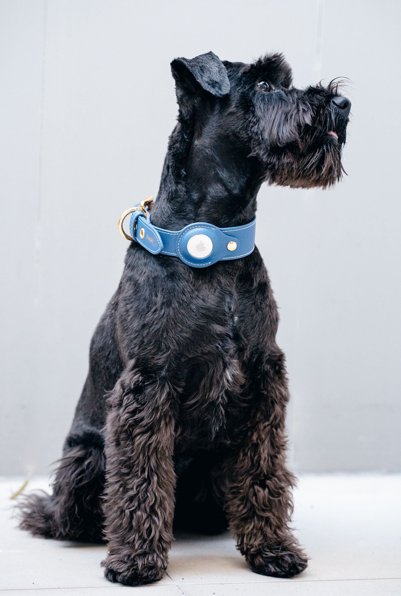 AirTag Dog Collar – Find My Mate