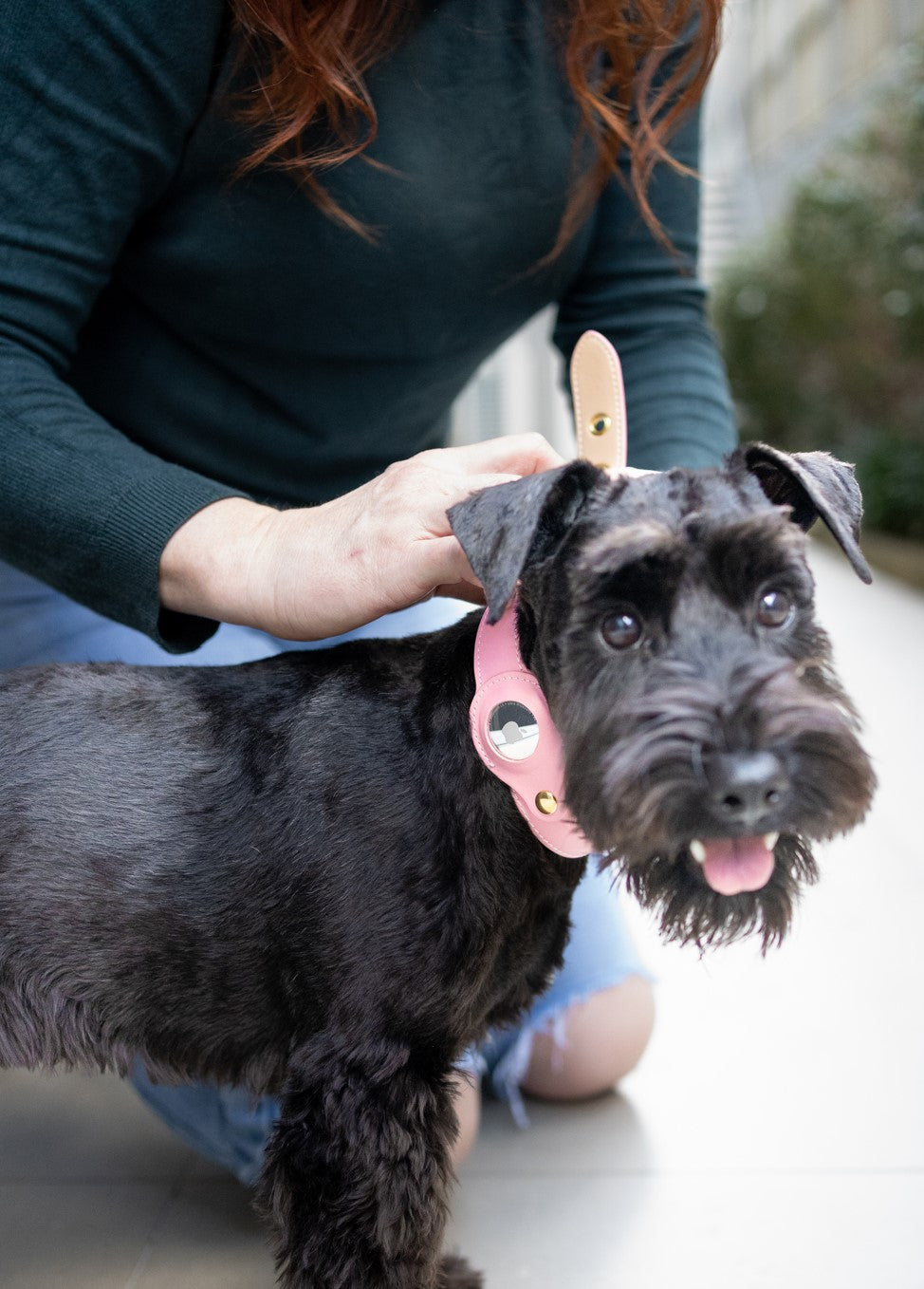 AirTag Dog Collar