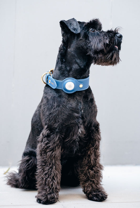 AirTag Dog Collar